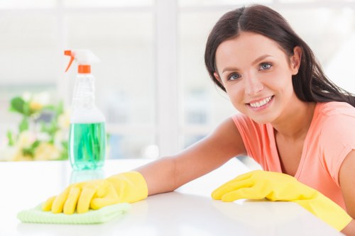 Professional upholstery cleaning on a fabric sofa