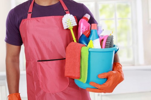 Professional carpet cleaning in a living room