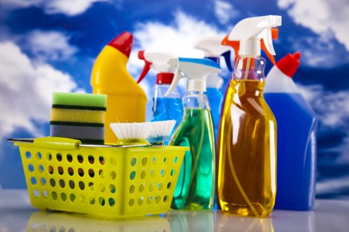 Bathroom cleaning for a move-out inspection