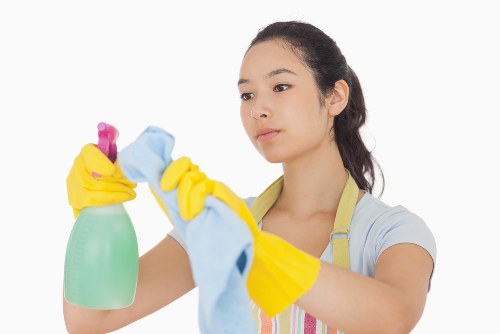 Professional upholstery cleaning equipment for sofas