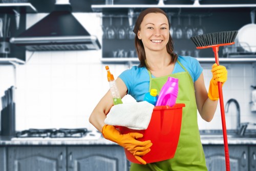 Domestic cleaning tools arranged for a tidy home
