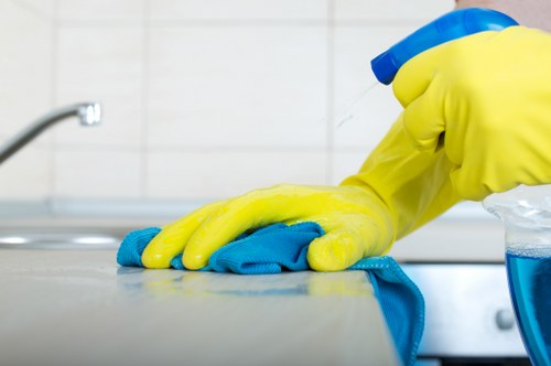 Kitchen countertops and sink being cleaned in a house cleaning session